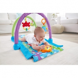 Fisher Price - Μουσικό Γυμναστήριο Βυθός 2 σε 1