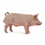 Collecta Ζώα Φάρμας - Αρσενικό Γουρούνι