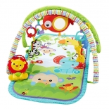Fisher Price - Μουσικό Γυμναστήριο Rainforest