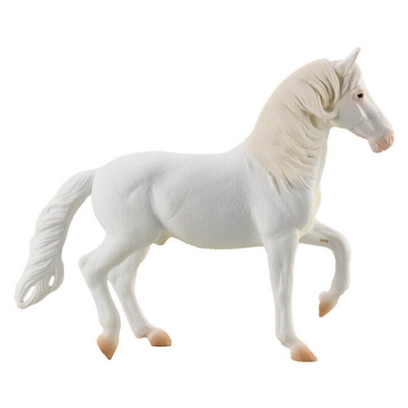Collecta Άλογα - Καμαρίγιο Λευκός Επιβήτορας Collecta Άλογα - Καμαρίγιο Λευκός Επιβήτορας