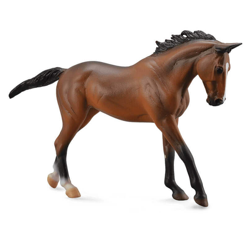 Collecta Μεγάλα Άλογα 1/12 - Καθαρόαιμη Φοράδα καφέ (89578)Collecta Μεγάλα Άλογα 1/12 - Καθαρόαιμη Φοράδα καφέ (89578) Collecta Μεγάλα Άλογα 1/12 - Καθαρόαιμη Φοράδα καφέ (89578)Collecta Μεγάλα Άλογα 1/12 - Καθαρόαιμη Φοράδα καφέ (89578)