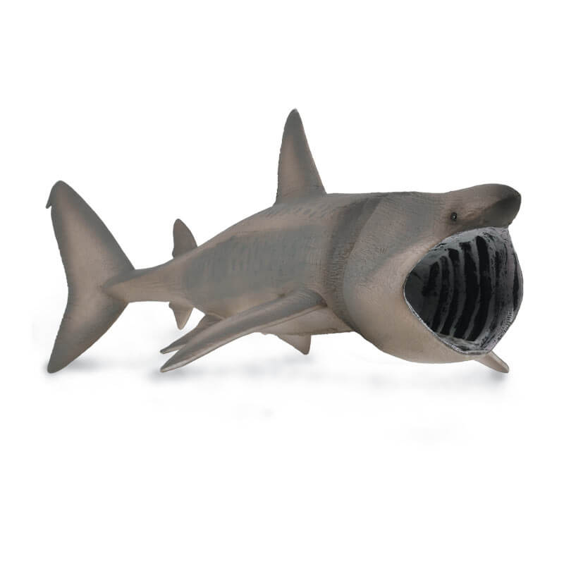Collecta Θαλάσσια Ζώα - Καρχαρίας Σαπουνάς - Προσκυνητής (88914)Collecta Θαλάσσια Ζώα - Καρχαρίας Σαπουνάς - Προσκυνητής (88914)