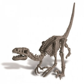 Ανασκαφή Σκελετού Δεινοσαύρου - Βελοσιράπτορας 4M (0023)