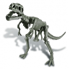 Ανασκαφή Σκελετού Δεινοσαύρου - Τυραννόσαυρος Rex 4Μ (0007)