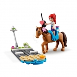Lego Friends - Κλινική Για Ζώα Της Χάρτλεϊκ Σίτυ (41446)