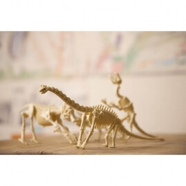 Ανασκαφή Σκελετού Δεινοσαύρου Τρικετάρωψ (4M0009)