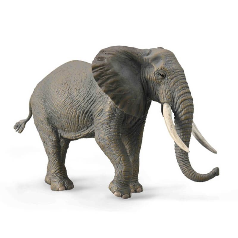 Collecta Ζώα Ζούγκλας - Αφρικανικός Ελέφαντας (88966)