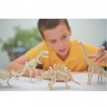 Ανασκαφή Σκελετού Δεινοσαύρου Στεγόσαυρος - 4M (03229)