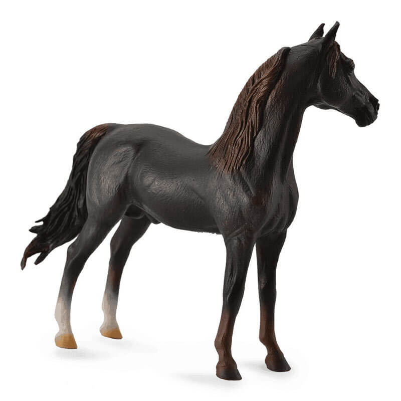 Collecta Άλογα - Επιβήτορας Μόργκαν (88647) Collecta Άλογα - Επιβήτορας Μόργκαν (88647)