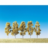 Σετ Δένδρα Σημύδες 5 τμχ Faller (181486)