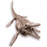 Ανασκαφή Σκελετού Δεινοσαύρου Μοσάσαυρος (4Μ0606)