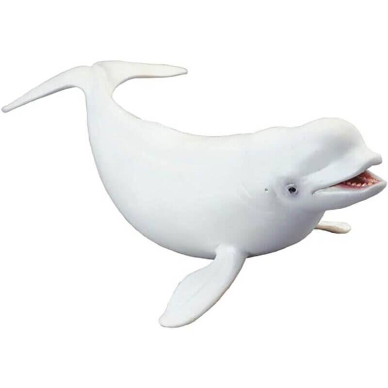 Collecta Θαλάσσια Ζώα - Φάλαινα Μπελούγκα (88568)