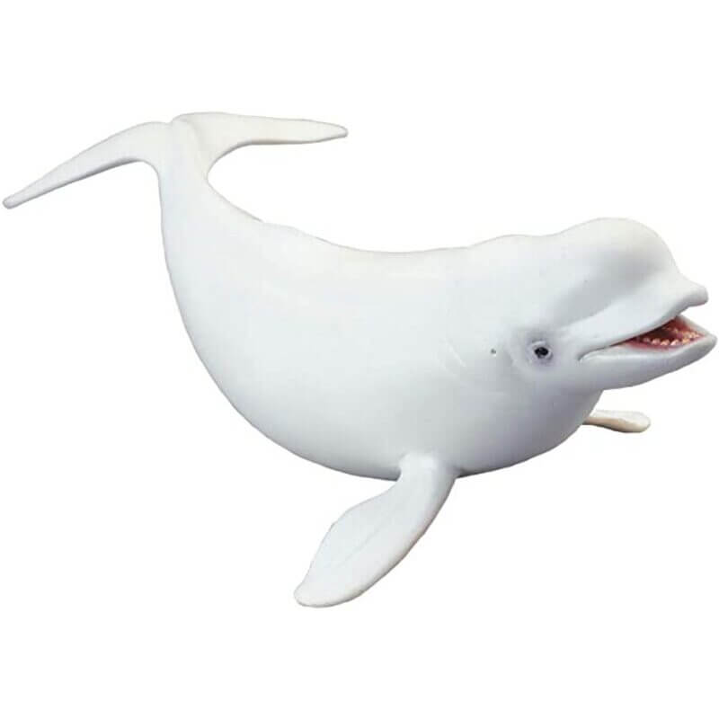Collecta Θαλάσσια Ζώα - Φάλαινα Μπελούγκα (88568) Collecta Θαλάσσια Ζώα - Φάλαινα Μπελούγκα (88568)