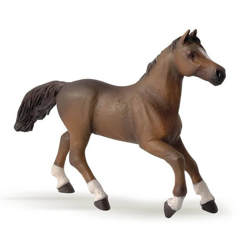 Άλογο Αγγλο-Αραβική Φοράδα - Ζωάκια Papo (51075)Άλογο Αγγλο-Αραβική Φοράδα - Ζωάκια Papo (51075)