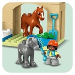 Lego Duplo Φροντίζοντας Ζώα Στη Φάρμα (10416)