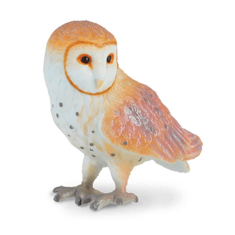 Collecta Άγρια Ζώα - Τυτώ Κουκουβάγια (88003)Collecta Άγρια Ζώα - Τυτώ Κουκουβάγια (88003) Collecta Άγρια Ζώα - Τυτώ Κουκουβάγια (88003)Collecta Άγρια Ζώα - Τυτώ Κουκουβάγια (88003)