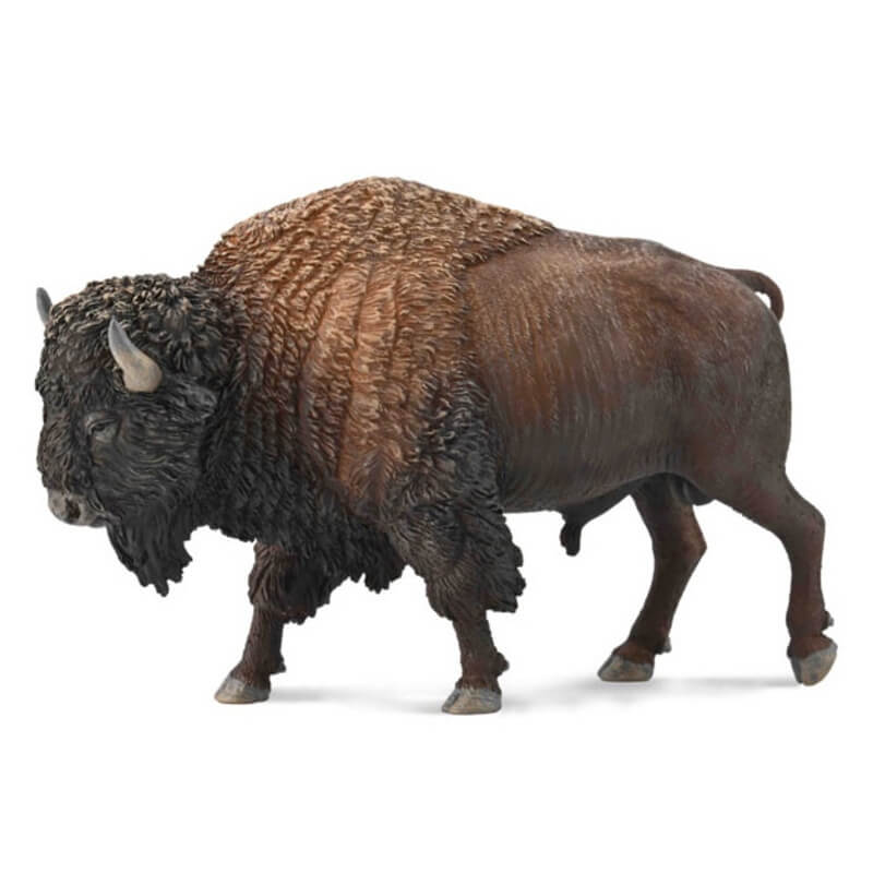 Collecta Άγρια Ζώα - Αμερικανικός Βίσονας (88968)Collecta Άγρια Ζώα - Αμερικανικός Βίσονας (88968) Collecta Άγρια Ζώα - Αμερικανικός Βίσονας (88968)Collecta Άγρια Ζώα - Αμερικανικός Βίσονας (88968)