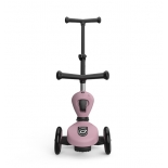 Πατίνι Scoot & Ride 2 σε 1 Highwaykick 1 Push and Go για 1-5 ετών Wildberry (00069)