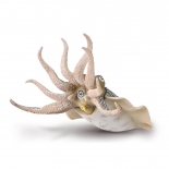 Collecta Θαλάσσια Ζώα - Κοινή Σουπιά (80009)