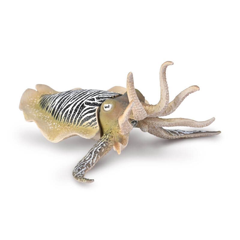 Collecta Θαλάσσια Ζώα - Κοινή Σουπιά (80009)Collecta Θαλάσσια Ζώα - Κοινή Σουπιά (80009) Collecta Θαλάσσια Ζώα - Κοινή Σουπιά (80009)Collecta Θαλάσσια Ζώα - Κοινή Σουπιά (80009)