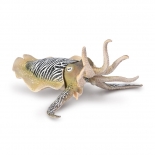 Collecta Θαλάσσια Ζώα - Κοινή Σουπιά (80009)