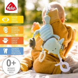 Δράκος Δραστηριοτήτων - Fehn (065121)