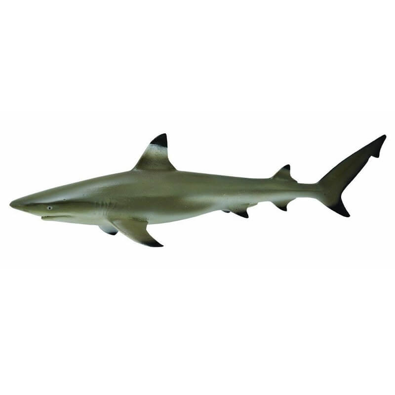 Collecta Θαλάσσια Ζώα - Μαυροπτέρυγος ΚαρχαρίαςCollecta Θαλάσσια Ζώα - Μαυροπτέρυγος Καρχαρίας