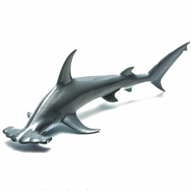 Collecta Θαλάσσια Ζώα - Σφυροκέφαλος Καρχαρίας Collecta Θαλάσσια Ζώα - Σφυροκέφαλος Καρχαρίας