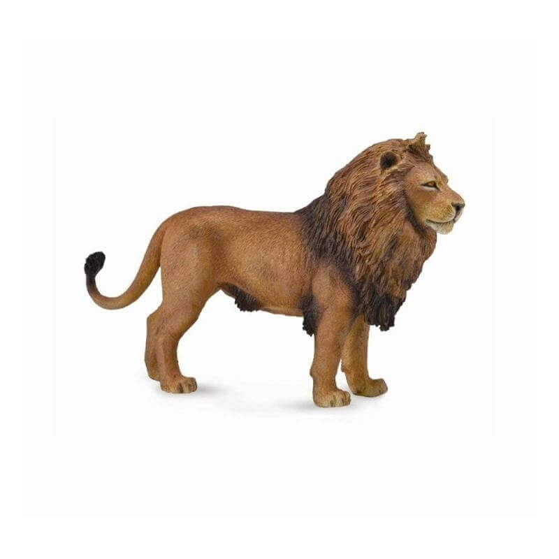Collecta Ζώα Ζούγκλας - ΛιοντάριCollecta Ζώα Ζούγκλας - Λιοντάρι Collecta Ζώα Ζούγκλας - ΛιοντάριCollecta Ζώα Ζούγκλας - Λιοντάρι
