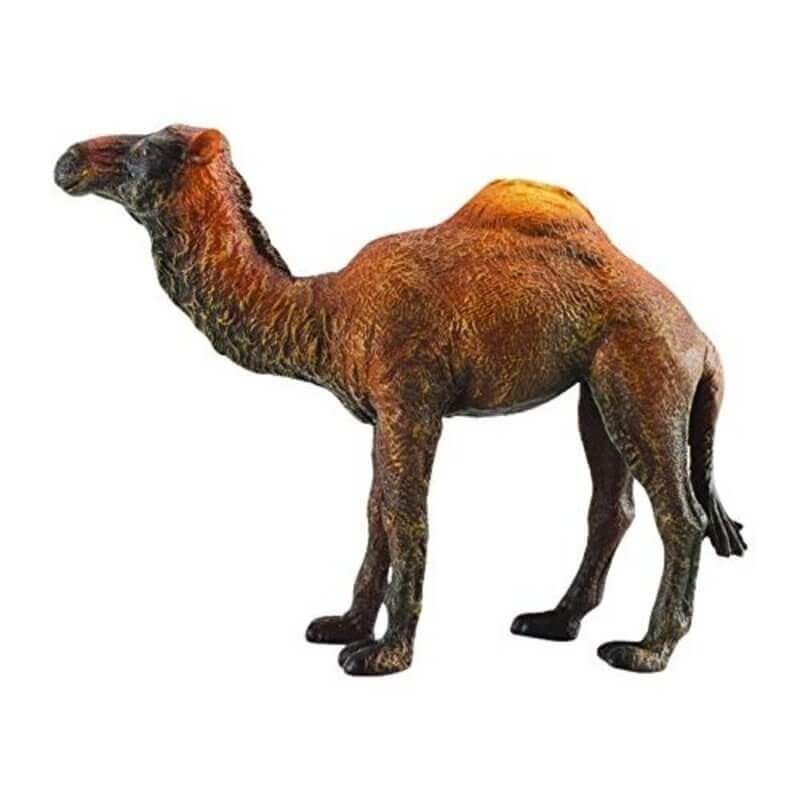 Collecta Ζώα Ζούγκλας - Καμήλα