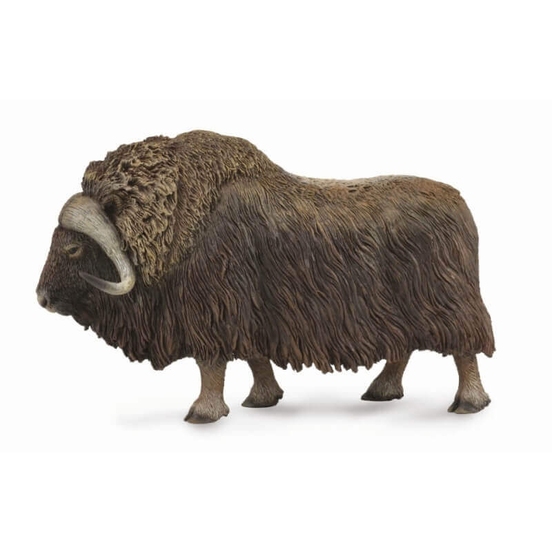 Collecta Ζώα Ζούγκλας - Μοσχόβους Collecta Ζώα Ζούγκλας - Μοσχόβους