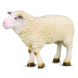 Πρόβατο - Collecta Ζώα Φάρμας (88008)