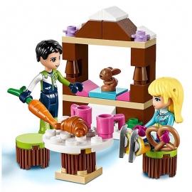 Lego Friends - Παγοδρόμιο στο Χειμερινό Θέρετρο (41322)