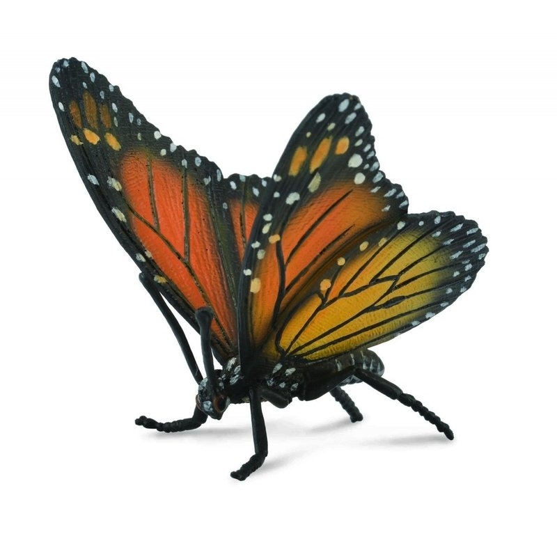 Collecta Ζώα Έντομα - Πεταλούδα Μονάρχης Collecta Ζώα Έντομα - Πεταλούδα Μονάρχης
