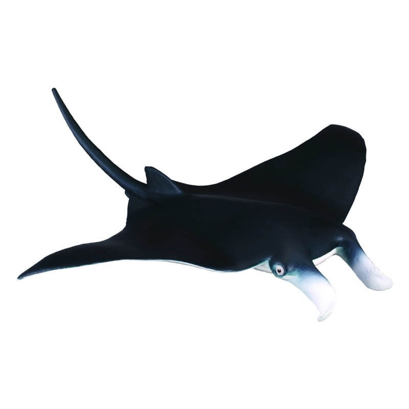Collecta Θαλάσσια Ζώα - ΣαλάχιCollecta Θαλάσσια Ζώα - Σαλάχι Collecta Θαλάσσια Ζώα - ΣαλάχιCollecta Θαλάσσια Ζώα - Σαλάχι