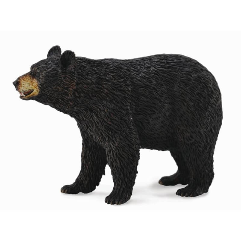 Collecta Ζώα Ζούγκλας - Μαύρη Αρκούδα