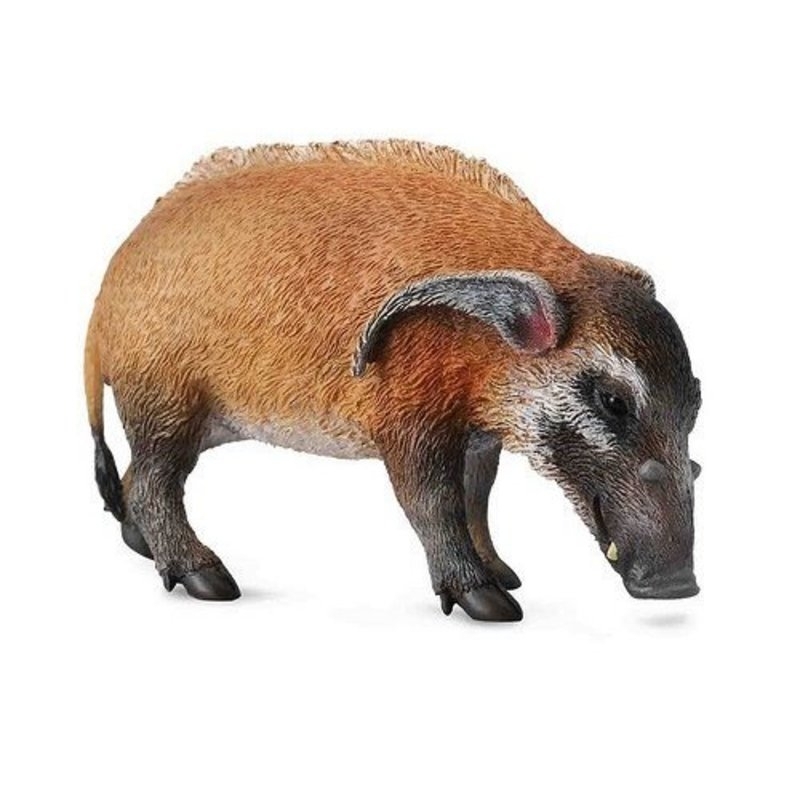 Collecta Ζώα Ζούγκλας - Κόκκινος ΠοταμόχοιροςCollecta Ζώα Ζούγκλας - Κόκκινος Ποταμόχοιρος Collecta Ζώα Ζούγκλας - Κόκκινος ΠοταμόχοιροςCollecta Ζώα Ζούγκλας - Κόκκινος Ποταμόχοιρος