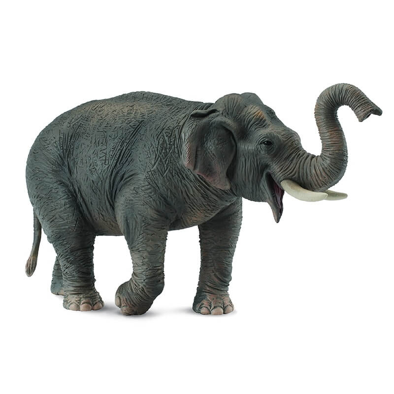 Collecta Ζώα Ζούγκλας - Ασιατικός Ελέφαντας