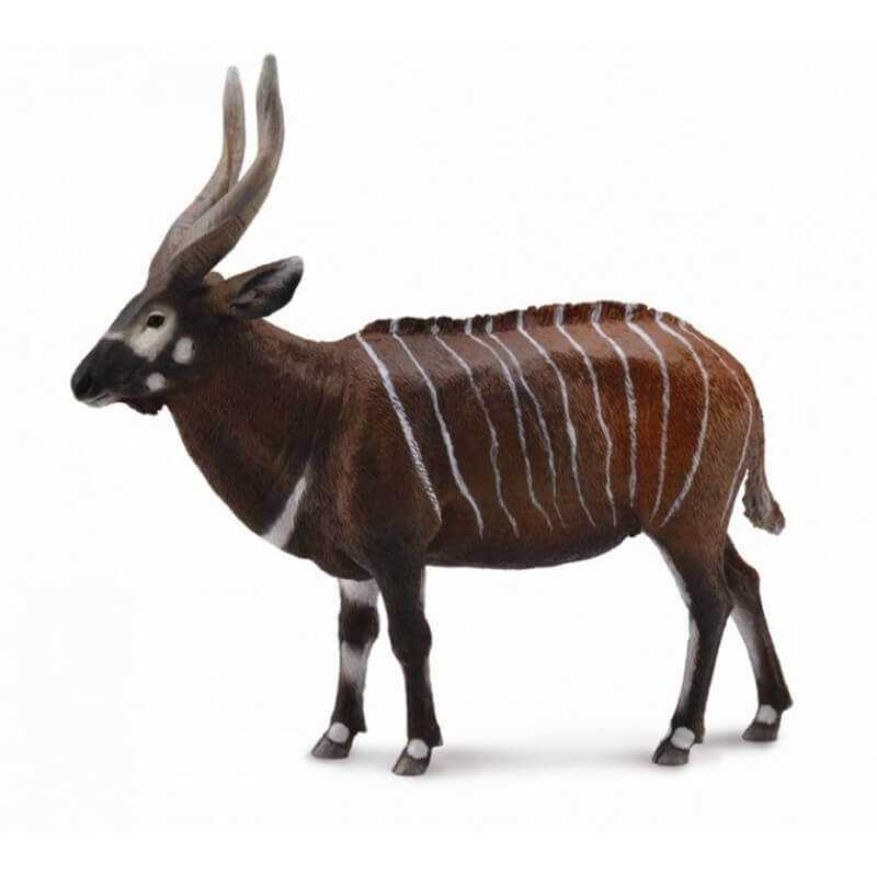 Collecta Ζώα Ζούγκλας - Μπόνγκο Collecta Ζώα Ζούγκλας - Μπόνγκο