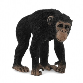 Collecta Ζώα Ζούγκλας - Χιμπατζής Θηλυκός