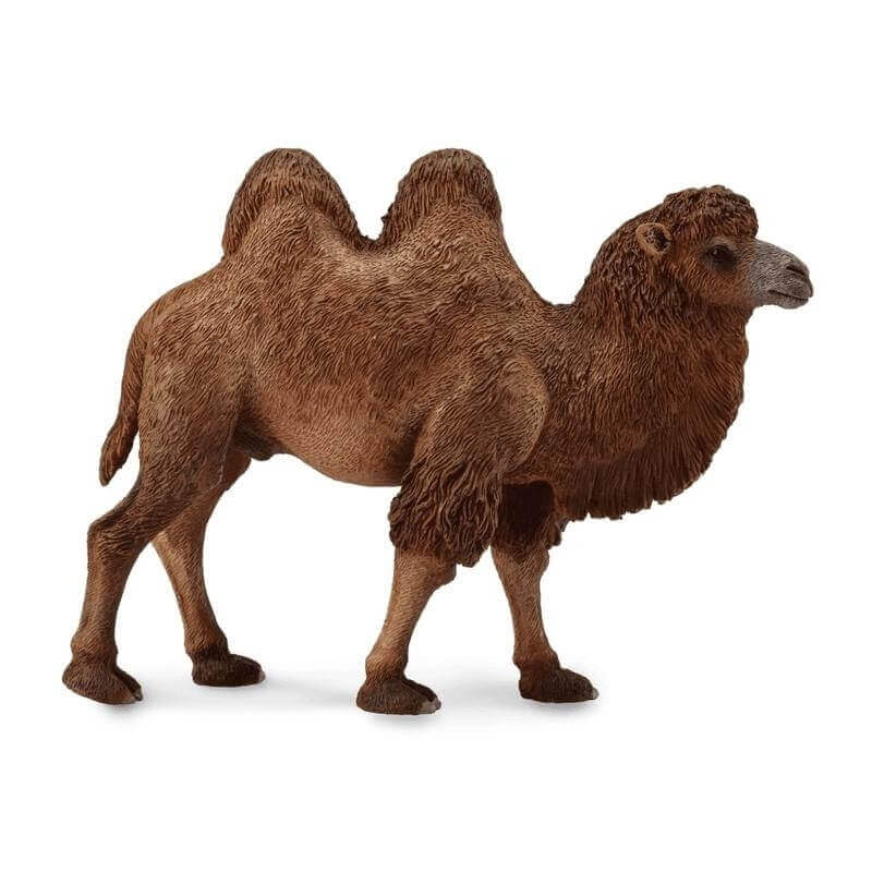 Collecta Ζώα Ζούγκλας - Βακτριανή Καμήλα