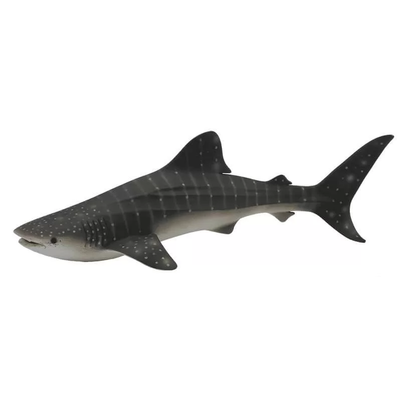 Collecta Θαλάσσια Ζώα - ΦαλαινοκαρχαρίαςCollecta Θαλάσσια Ζώα - Φαλαινοκαρχαρίας Collecta Θαλάσσια Ζώα - ΦαλαινοκαρχαρίαςCollecta Θαλάσσια Ζώα - Φαλαινοκαρχαρίας