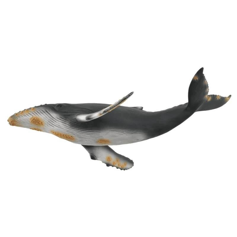 Collecta Θαλάσσια Ζώα - Μεγάπτερη ΦάλαιναCollecta Θαλάσσια Ζώα - Μεγάπτερη Φάλαινα Collecta Θαλάσσια Ζώα - Μεγάπτερη ΦάλαιναCollecta Θαλάσσια Ζώα - Μεγάπτερη Φάλαινα