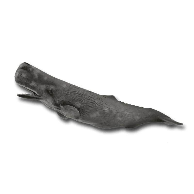 Collecta Θαλάσσια Ζώα - Φάλαινα Φυσητήρας Collecta Θαλάσσια Ζώα - Φάλαινα Φυσητήρας
