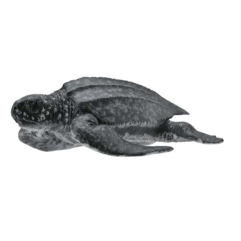 Collecta Θαλάσσια Ζώα - Θαλάσσια ΔερματοχελώναCollecta Θαλάσσια Ζώα - Θαλάσσια Δερματοχελώνα Collecta Θαλάσσια Ζώα - Θαλάσσια ΔερματοχελώναCollecta Θαλάσσια Ζώα - Θαλάσσια Δερματοχελώνα